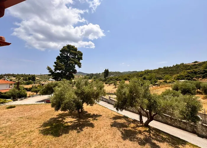 The Big Olive Tree Hébergement de vacances *