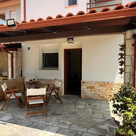 The Big Olive Tree חניוטי