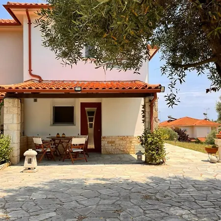 The Big Olive Tree