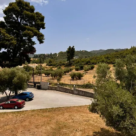 The Big Olive Tree בית נופש חניוטי