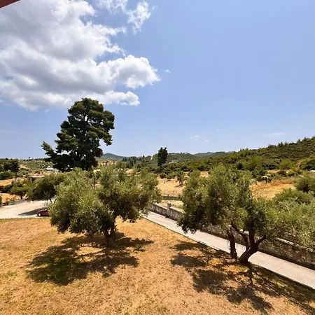 The Big Olive Tree Casa de Férias *