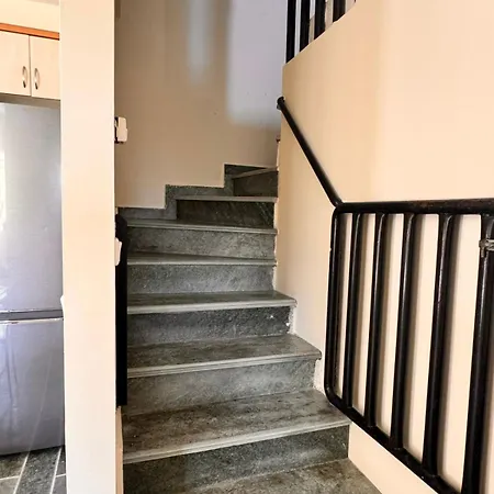 The Big Olive Tree *