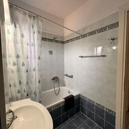 The Big Olive Tree חניוטי