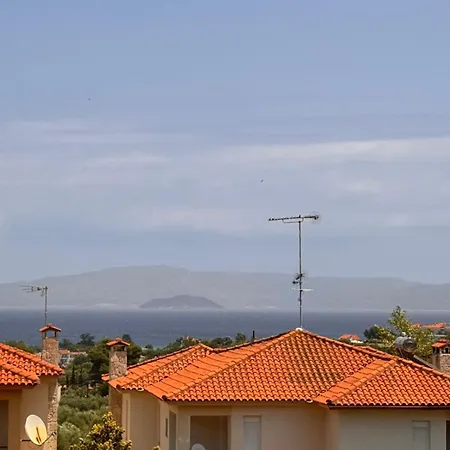 בית נופש The Big Olive Tree