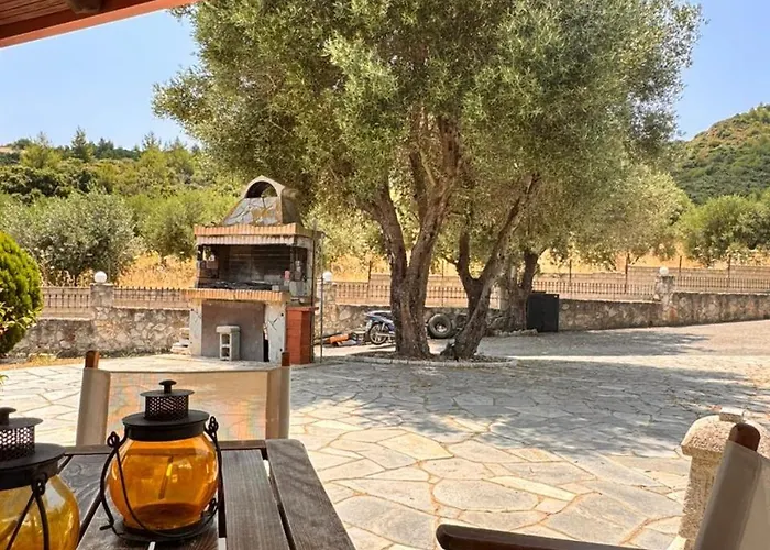 The Big Olive Tree 度假居 *