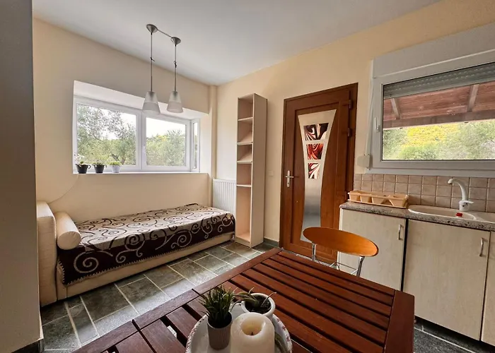 度假居 The Big Olive Tree