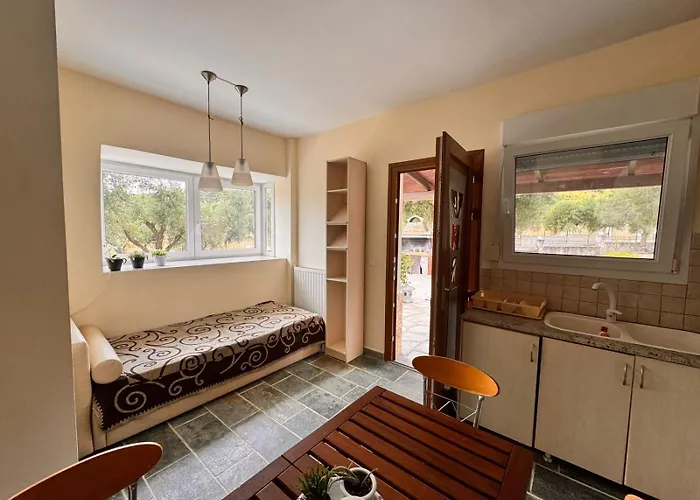 The Big Olive Tree 度假居 *