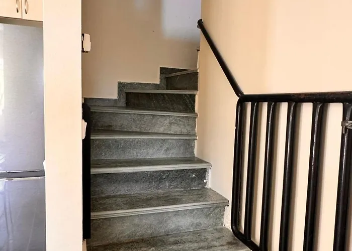 The Big Olive Tree *