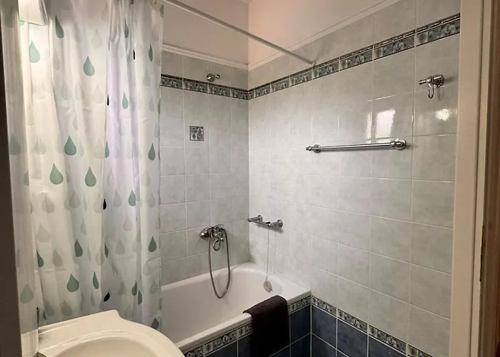 The Big Olive Tree 卡尼奥提