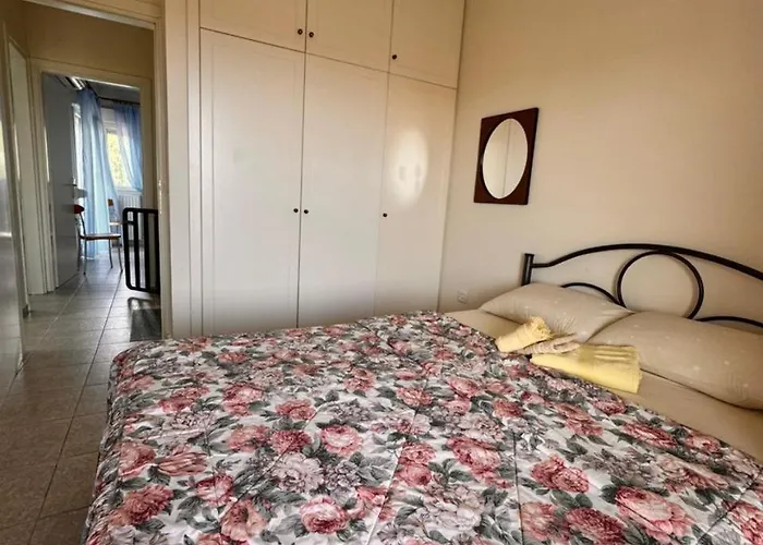 The Big Olive Tree * 卡尼奥提