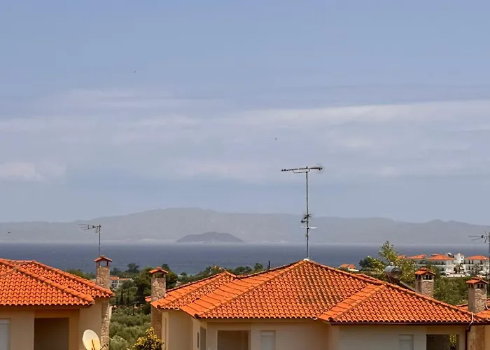 度假居 The Big Olive Tree