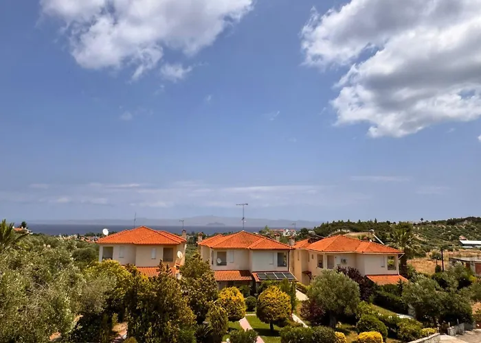 度假居 The Big Olive Tree *