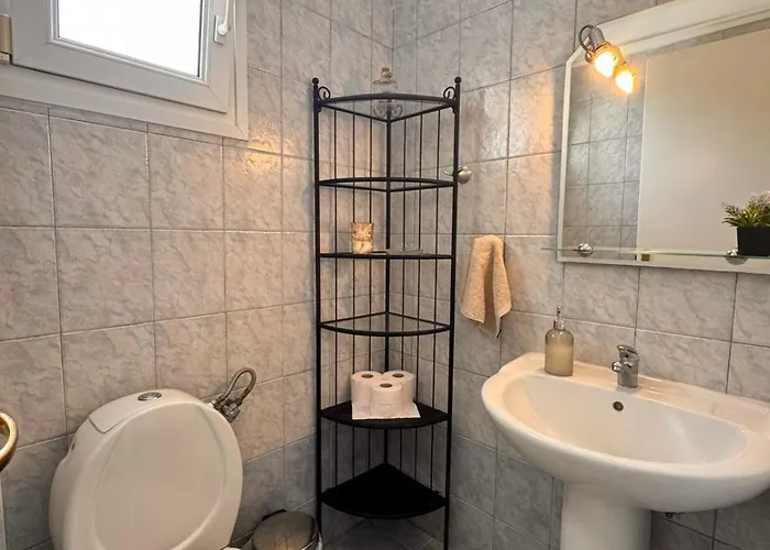 度假居 The Big Olive Tree *