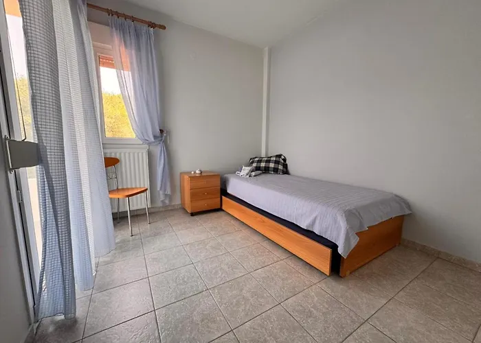 The Big Olive Tree 卡尼奥提