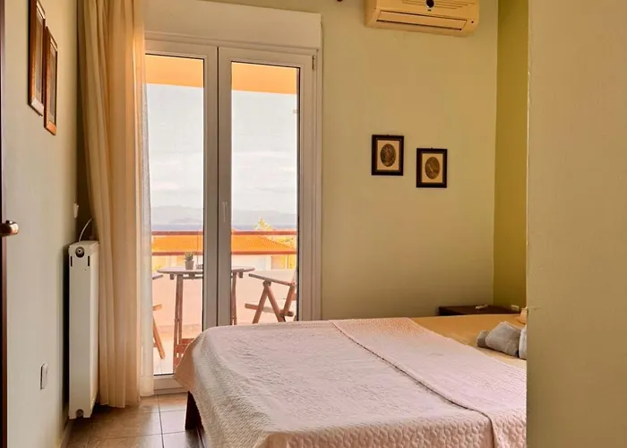 度假居 The Big Olive Tree