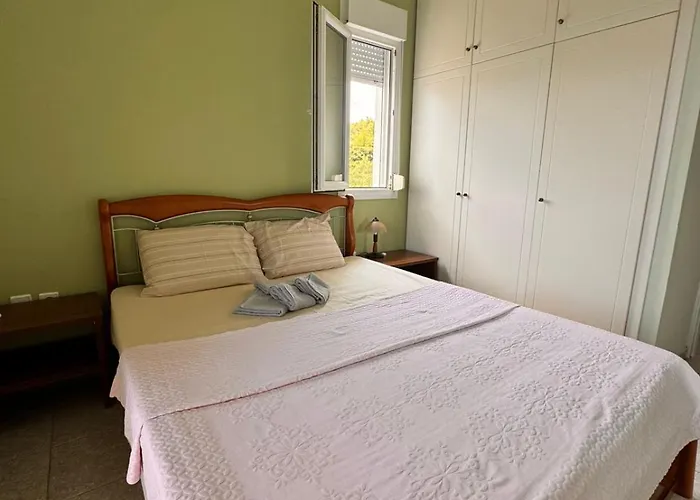 The Big Olive Tree *