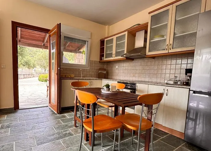 The Big Olive Tree 卡尼奥提