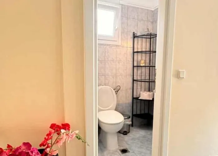 The Big Olive Tree *