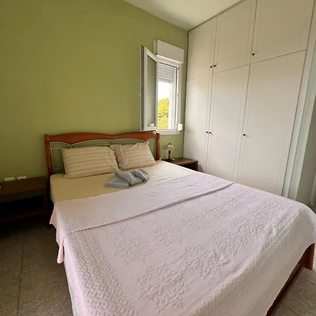 The Big Olive Tree *