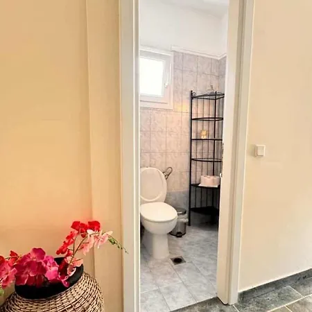 The Big Olive Tree *